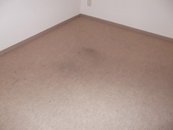 港区 カーペット張替工事