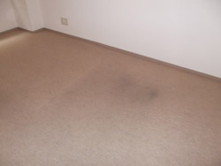 港区 カーペット張替工事