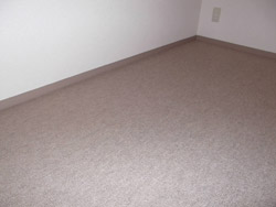 港区 カーペット張替工事