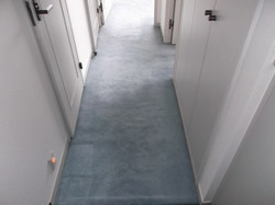 多摩市 カーペット張替工事