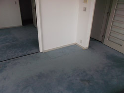 多摩市 カーペット張替工事