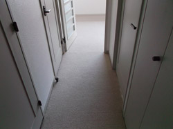 多摩市 カーペット張替工事