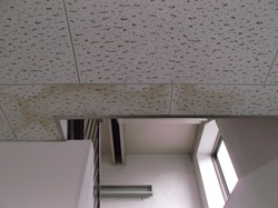 八王子市 ジプトン塗装工事