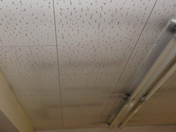 八王子市 ジプトン塗装工事