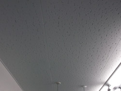 八王子市 ジプトン塗装工事