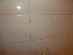 横浜市港北区 浴室タイルクリーニング