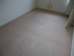 相模原市 絨毯→フローリング施工工事