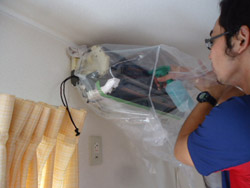 相模原市 エアコン内部洗浄