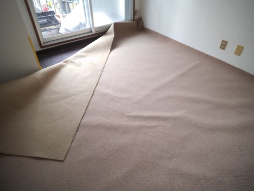 カーペット (2)