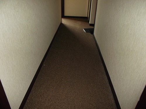 カーペット張替え前 (1)