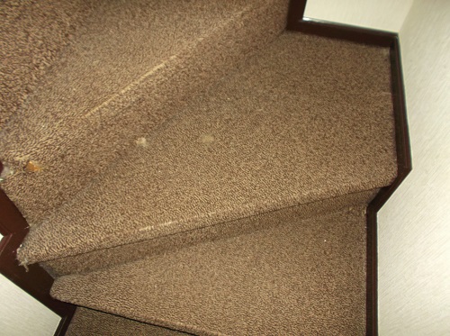 カーペット張替え前 (3)