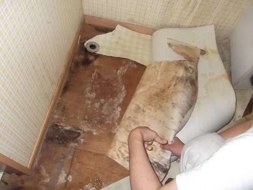 洗濯機下剥がし