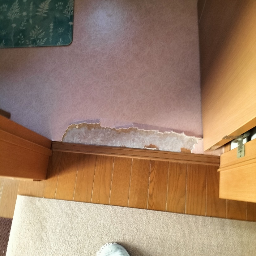 トイレ床 猫 引っ掻き傷