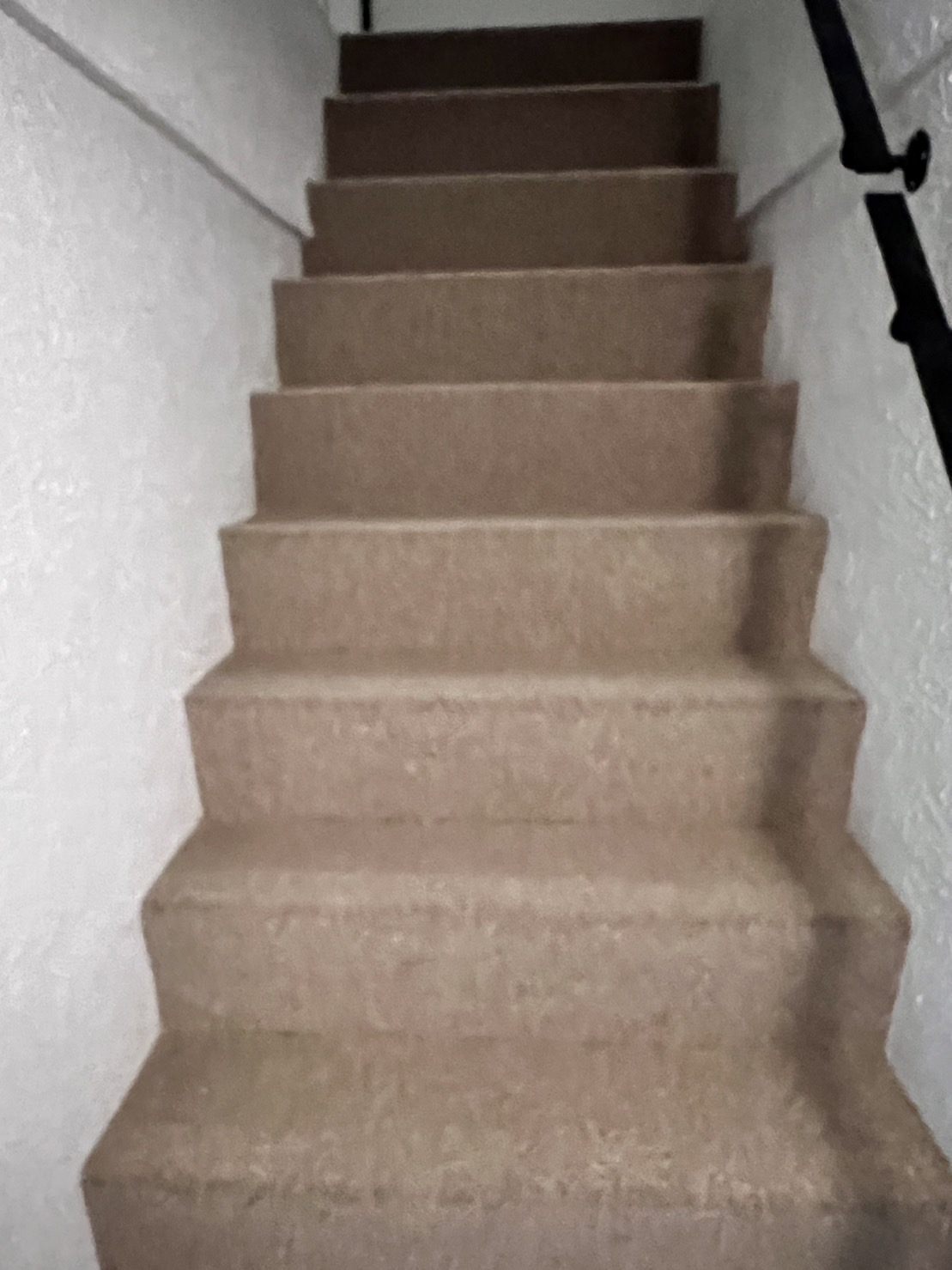 階段 ブラウンカーペット