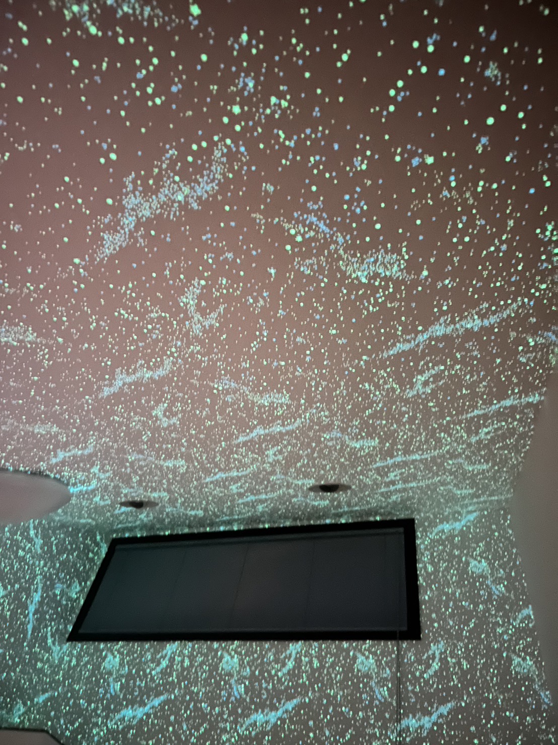 居室 アクセントクロス 昼間