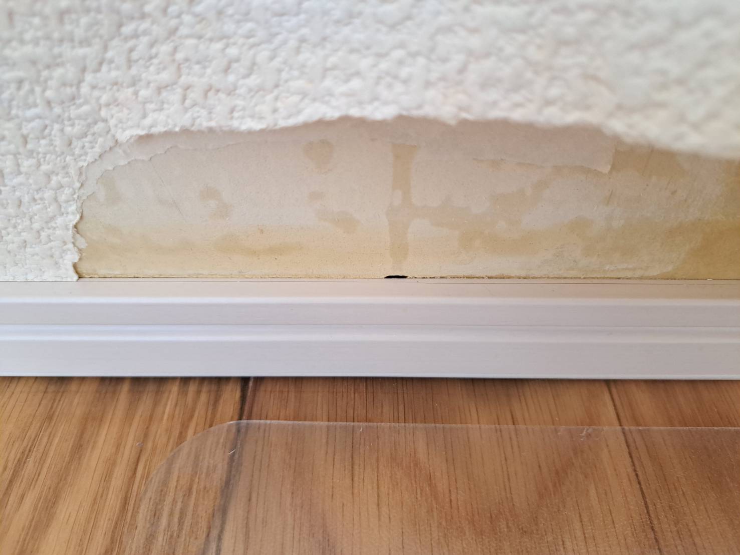 町田市クロス張替え施工前 ペットの粗相2