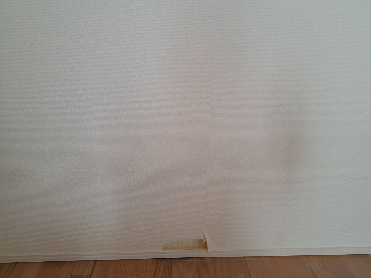 町田市クロス張替え施工前 ペットの粗相1