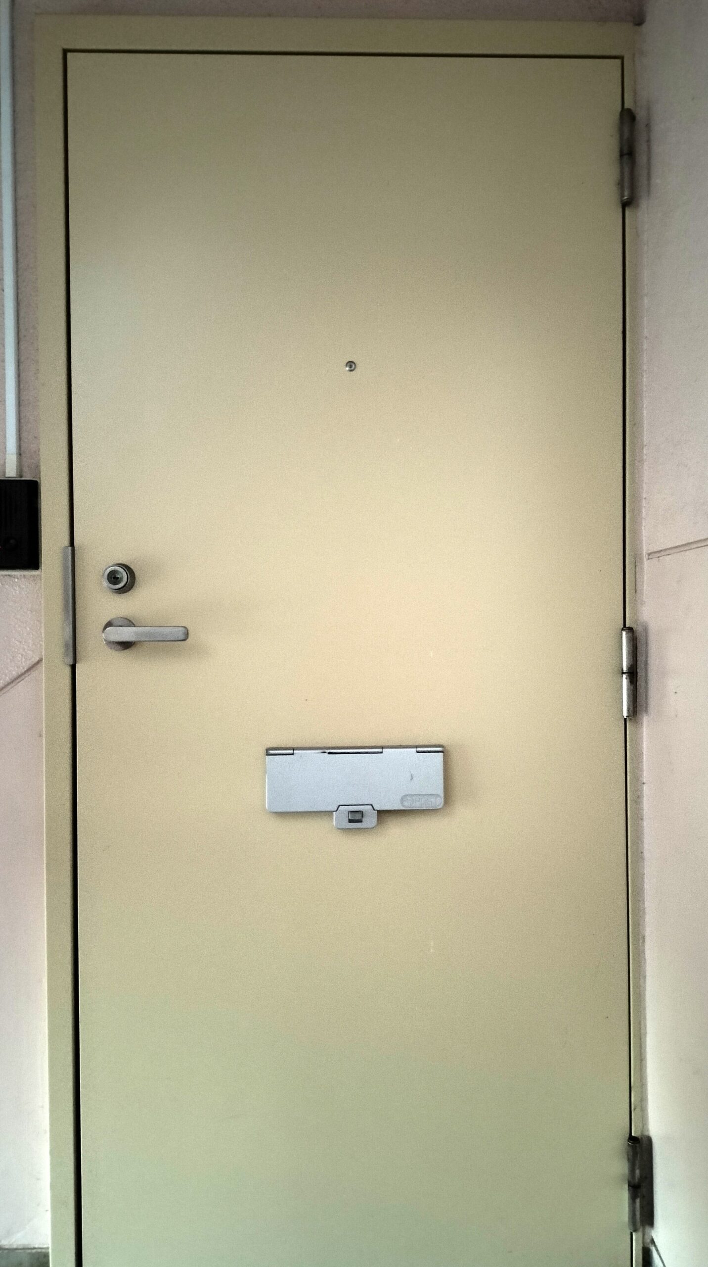 町田市玄関ドア傷補修施工前 ドア全体の様子