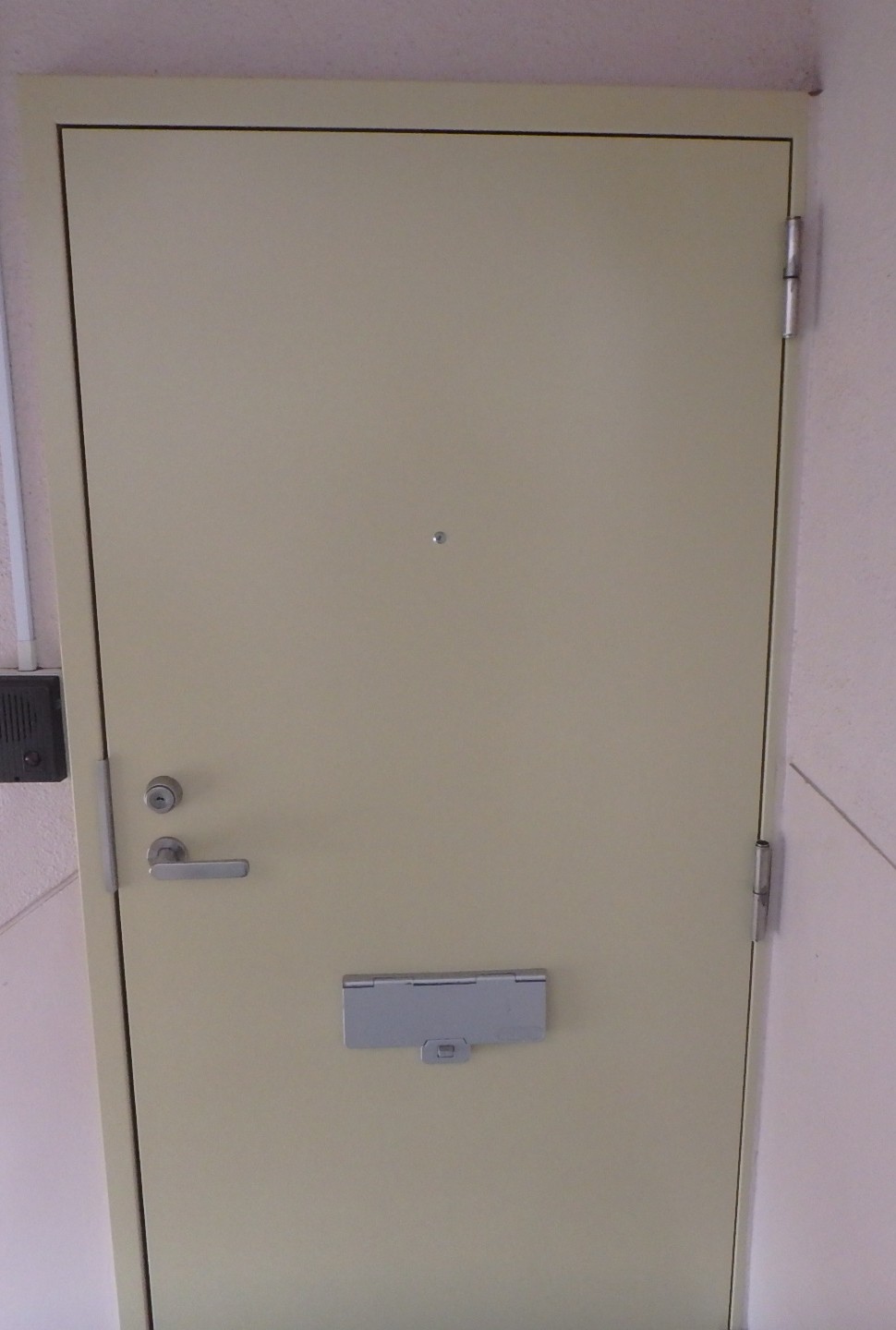 町田市玄関ドア傷補修施工後 塗装完了